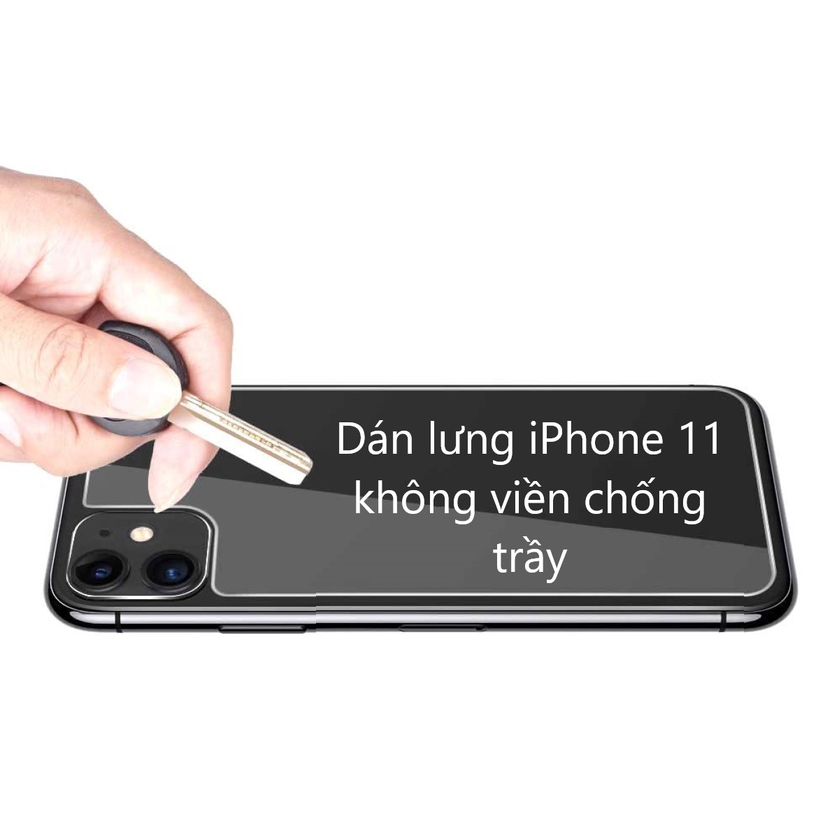 Miếng dán mặt lưng iPhone 11 không viền chống trầy