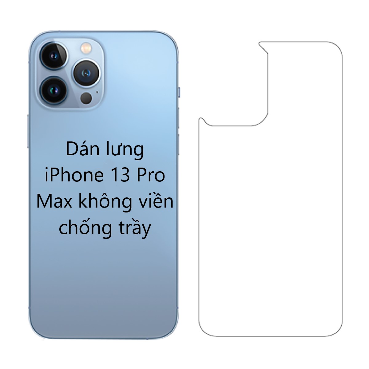 Miếng dán mặt lưng iPhone 13 Pro Max không viền chống trầy