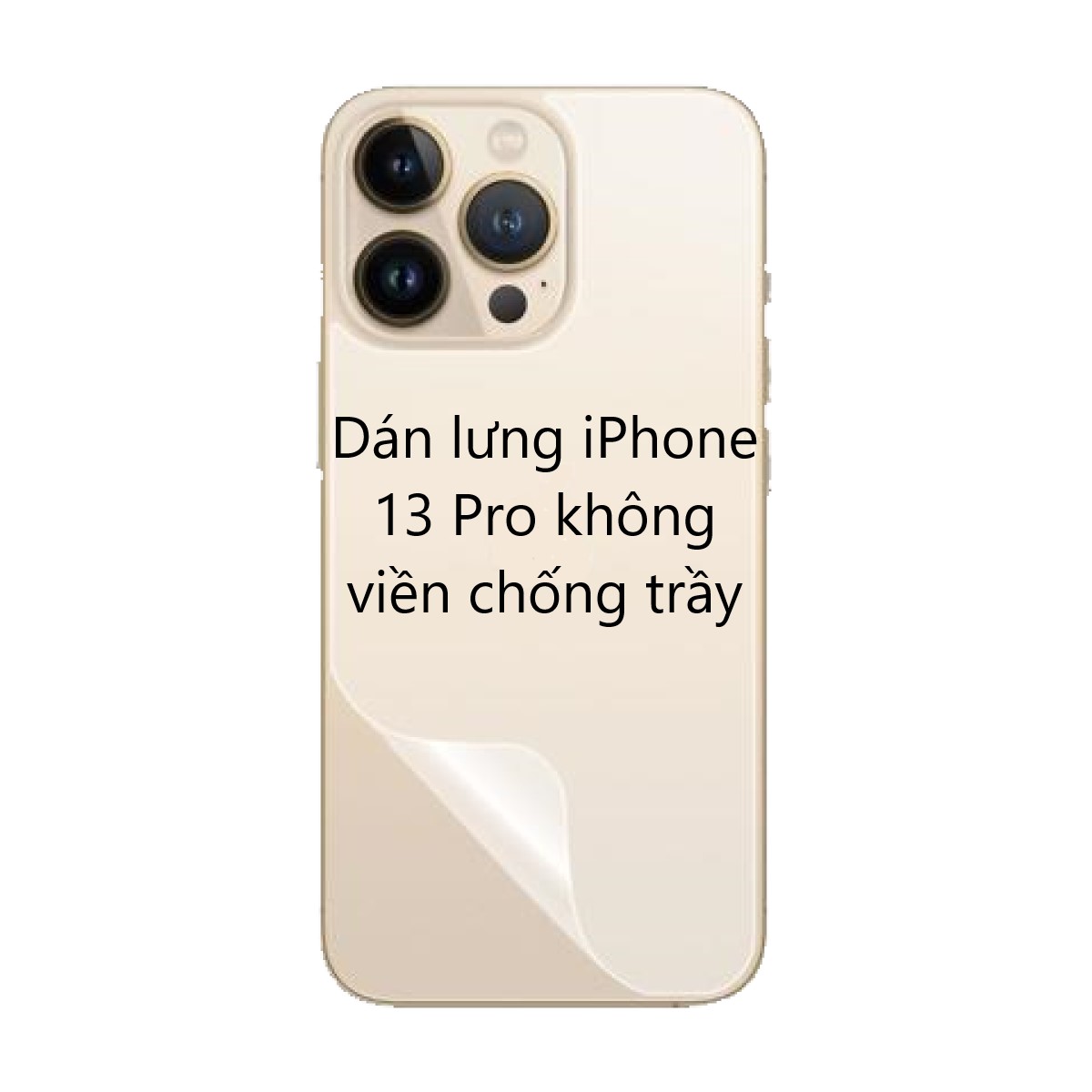 Miếng dán mặt lưng iPhone 13 Pro không viền chống trầy
