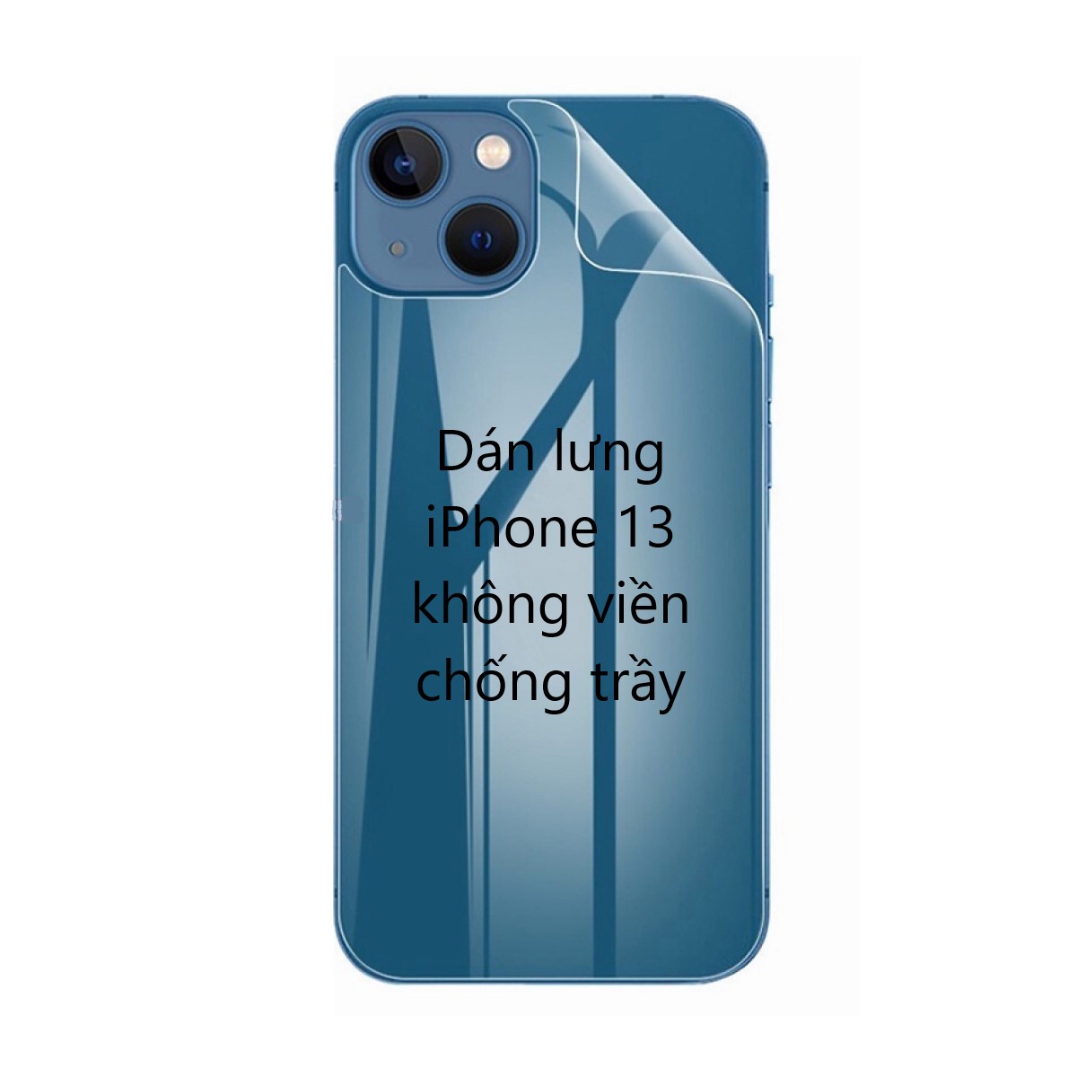 Miếng dán mặt lưng iPhone 13 không viền chống trầy